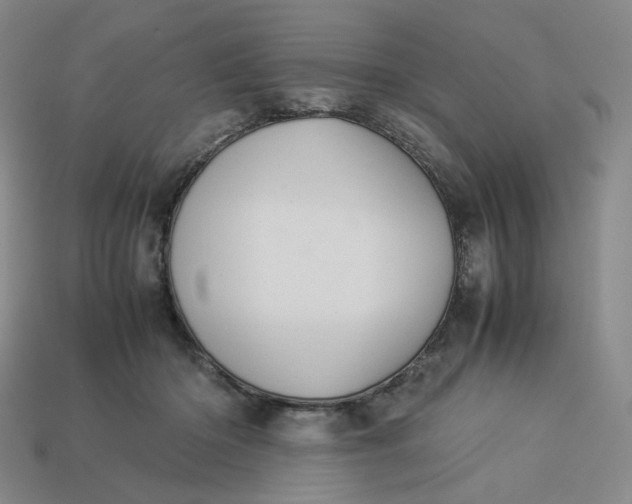 X0000113260414200910011411