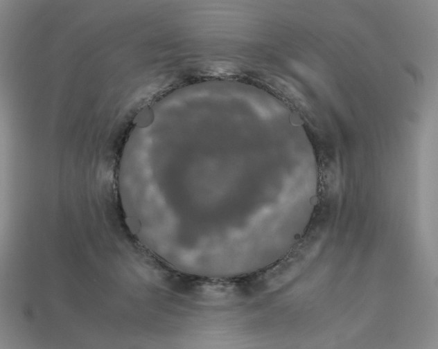 X0000113260415200910011411
