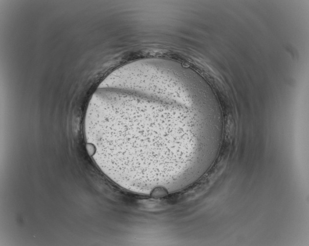 X0000113260417200910011411