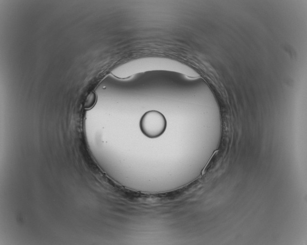 X0000113260419200910011411