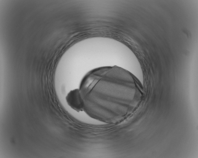 X0000113260421200910011411