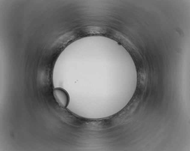 X0000113260422200910011411