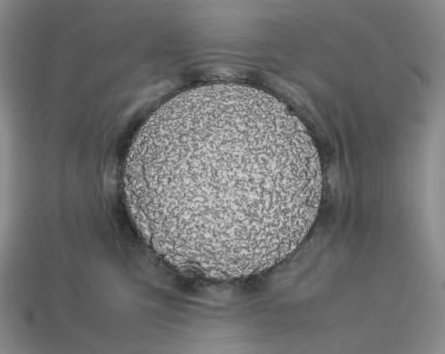 X0000113260423200910011411