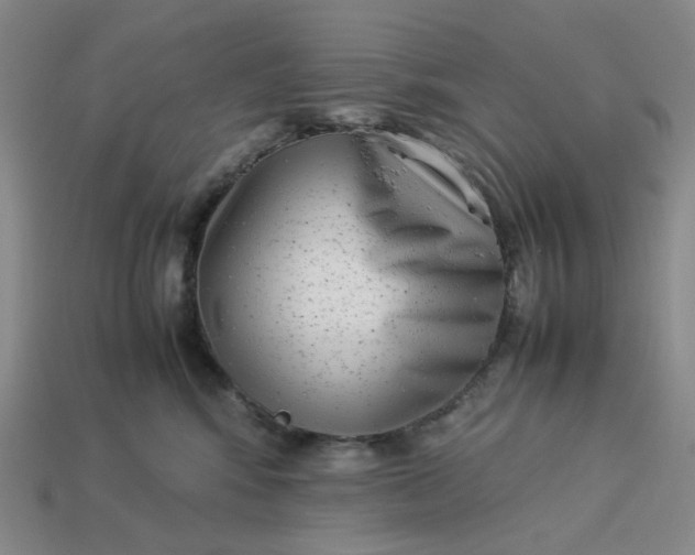 X0000113260424200910011411