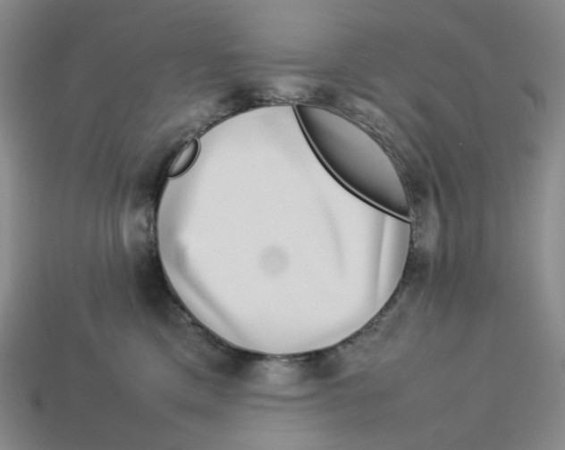 X0000113260425200910011411