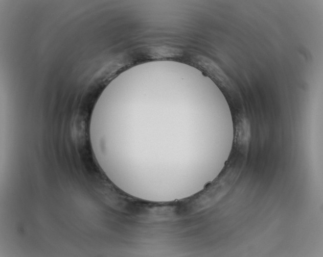 X0000113260426200910011411