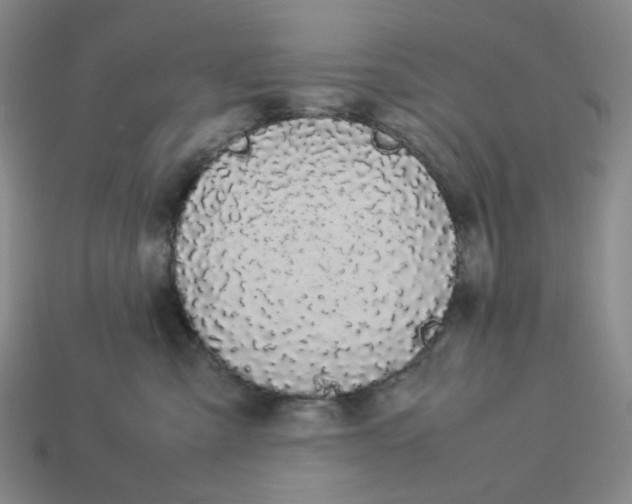 X0000113260427200910011411