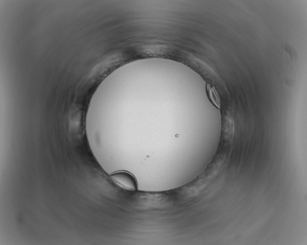 X0000113260428200910011411