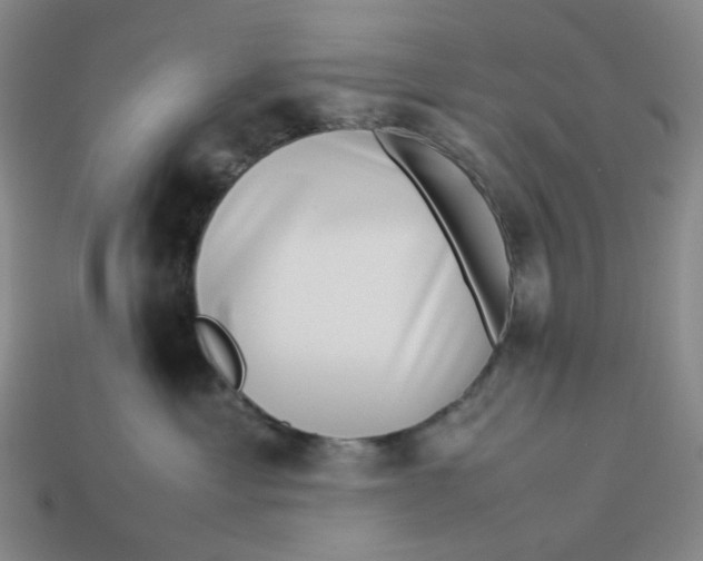 X0000113260429200910011411