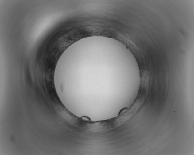 X0000113260430200910011411