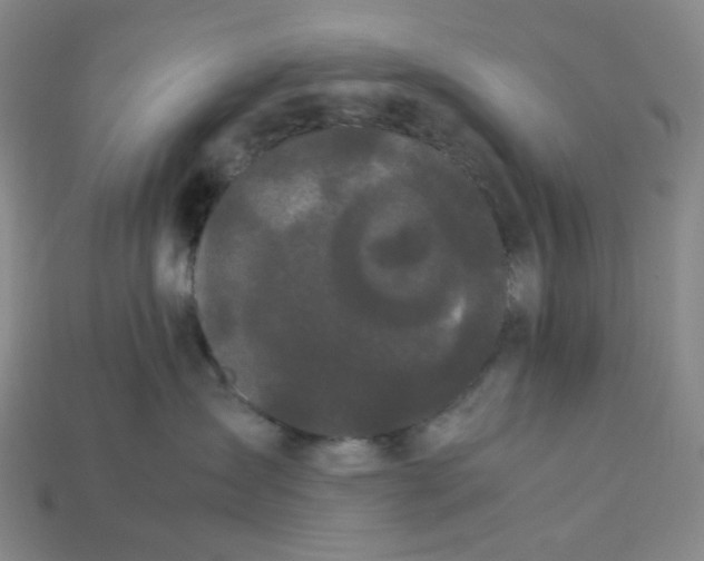 X0000113260431200910011411