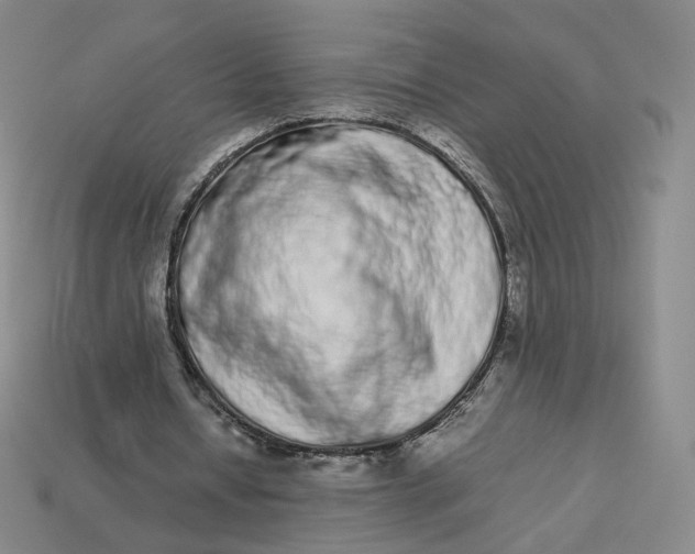 X0000113260434200910011411