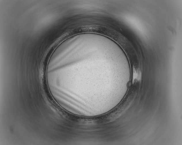 X0000113260435200910011411