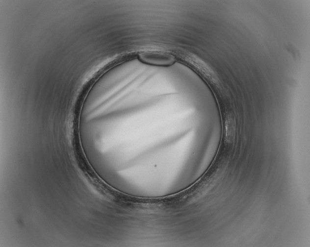 X0000113260436200910011411