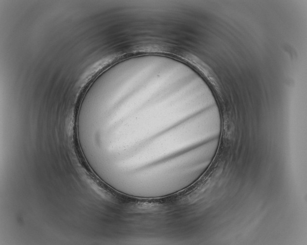 X0000113260437200910011411