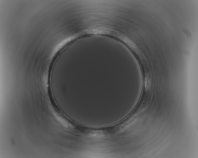X0000113260438200910011411