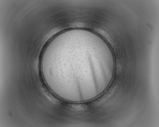 X0000113260439200910011411
