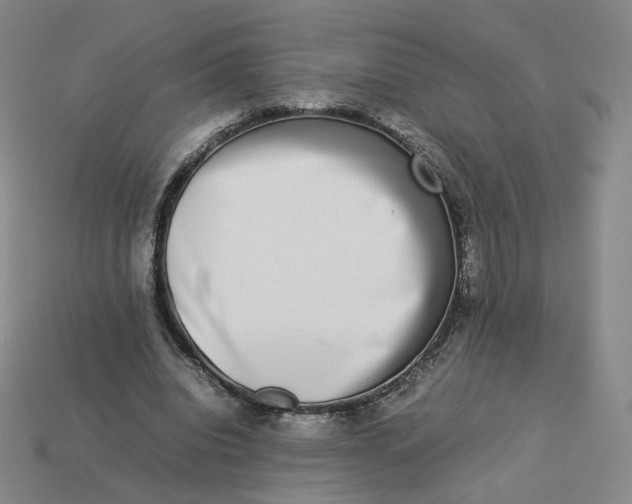 X0000113260440200910011411