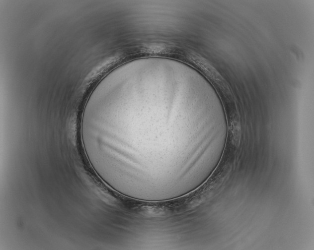 X0000113260442200910011411