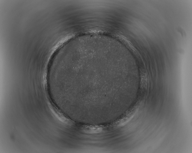 X0000113260443200910011411