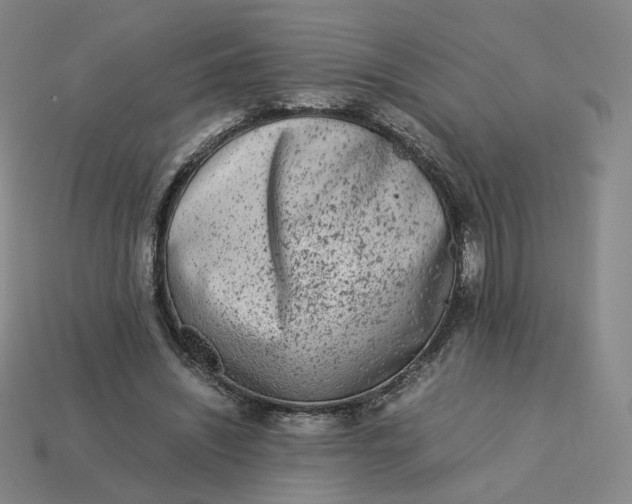 X0000113260444200910011411