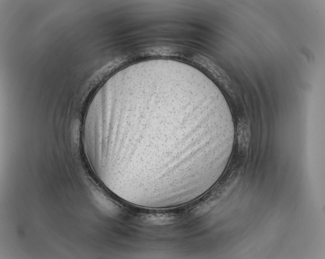 X0000113260445200910011411