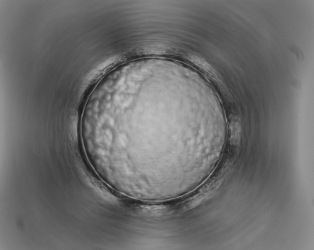 X0000113260446200910011411