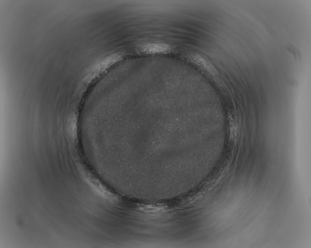 X0000113260447200910011411