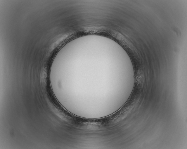 X0000113260448200910011411