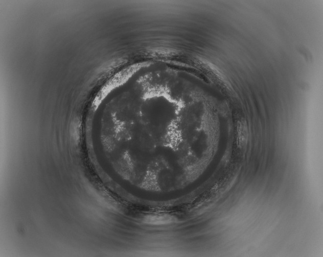 X0000113260451200910011411