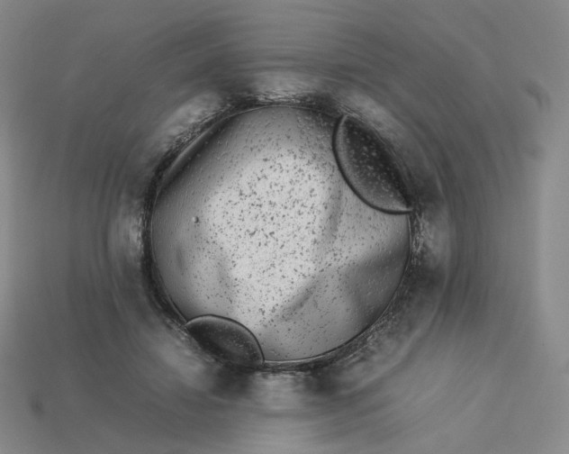 X0000113260452200910011411