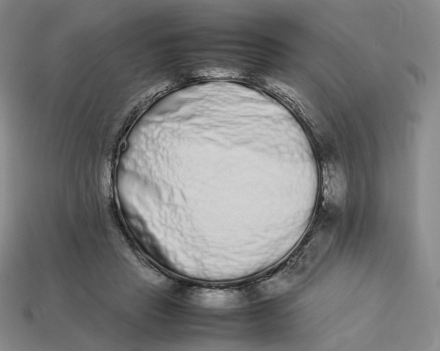 X0000113260453200910011411