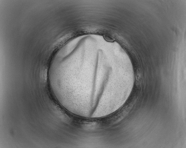 X0000113260454200910011411