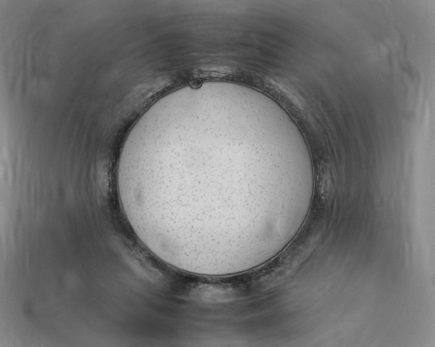 X0000113260455200910011411