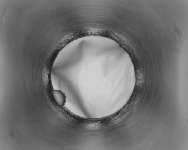 X0000113260456200910011411
