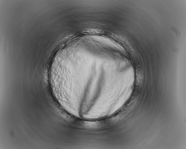 X0000113260457200910011411