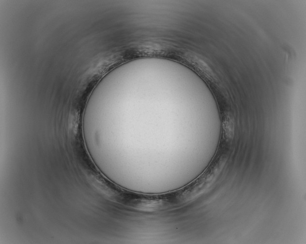 X0000113260458200910011411