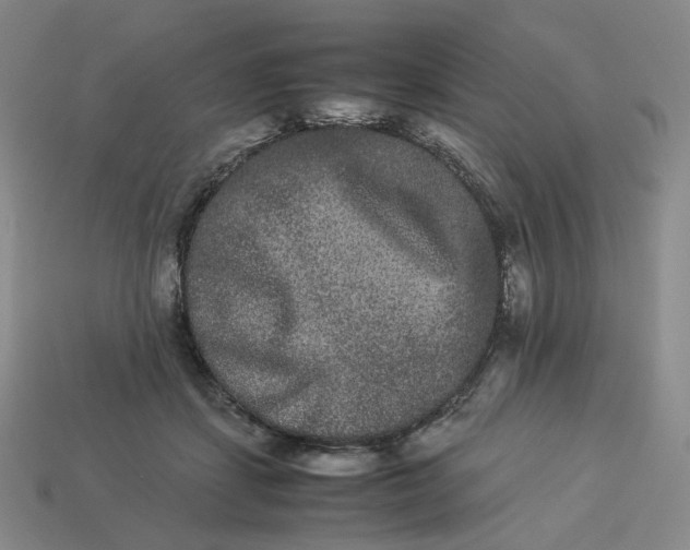 X0000113260459200910011411