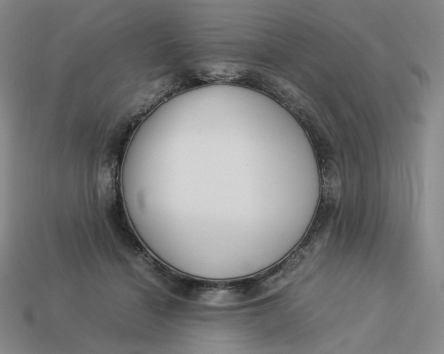 X0000113260460200910011411