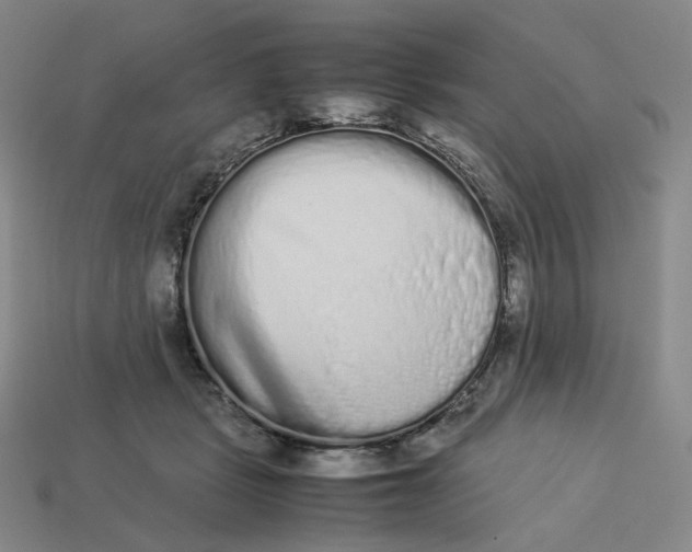 X0000113260461200910011411