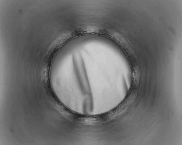 X0000113260462200910011411