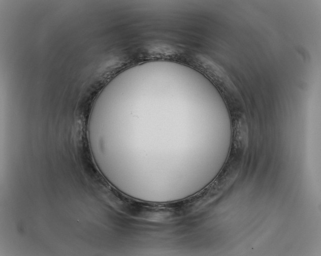 X0000113260463200910011411
