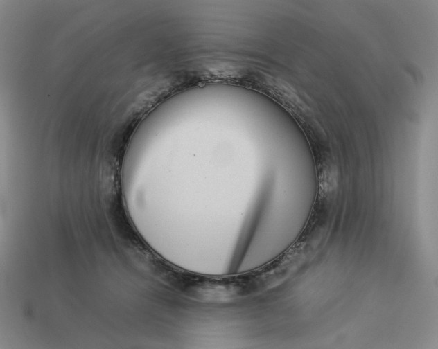 X0000113260464200910011411