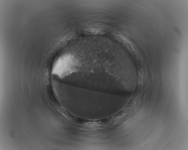 X0000113260465200910011411
