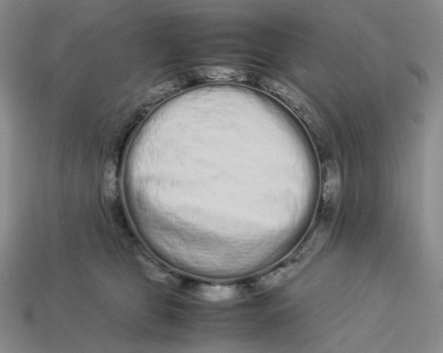 X0000113260469200910011411