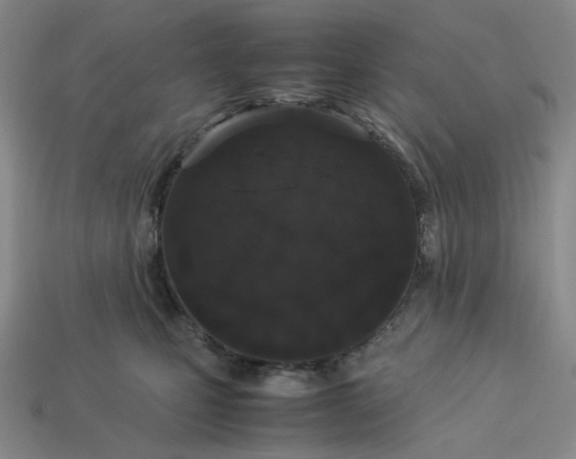 X0000113260471200910011411