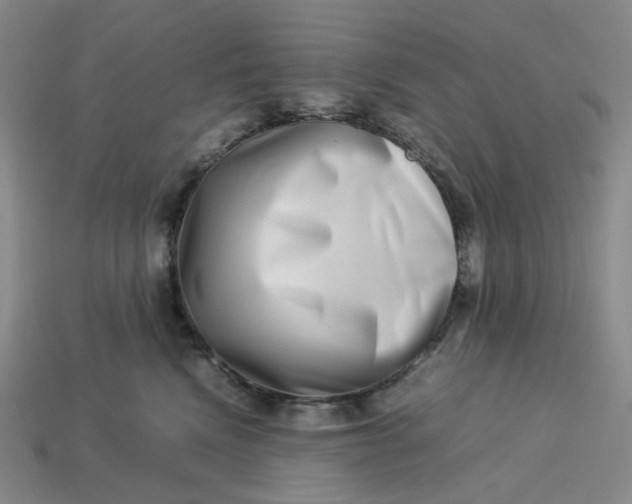 X0000113260472200910011411