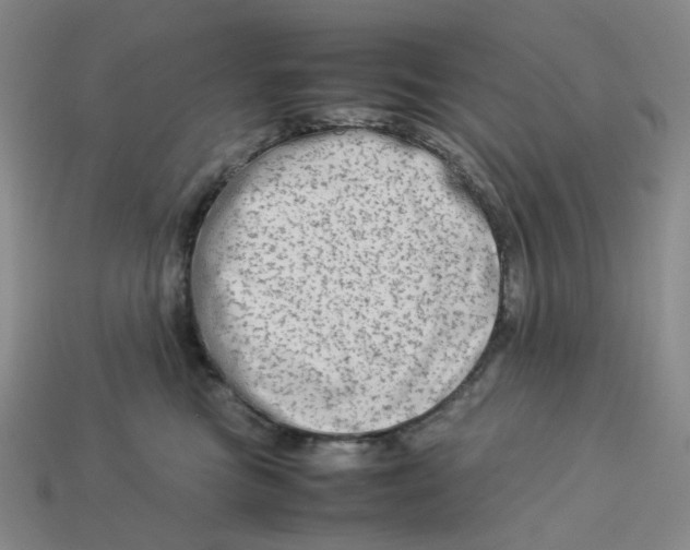 X0000113260473200910011411
