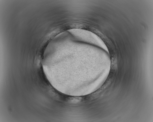 X0000113260474200910011411