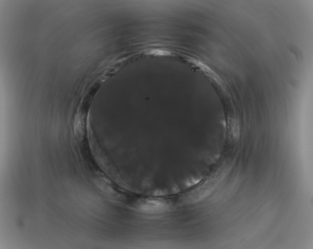 X0000113260475200910011411